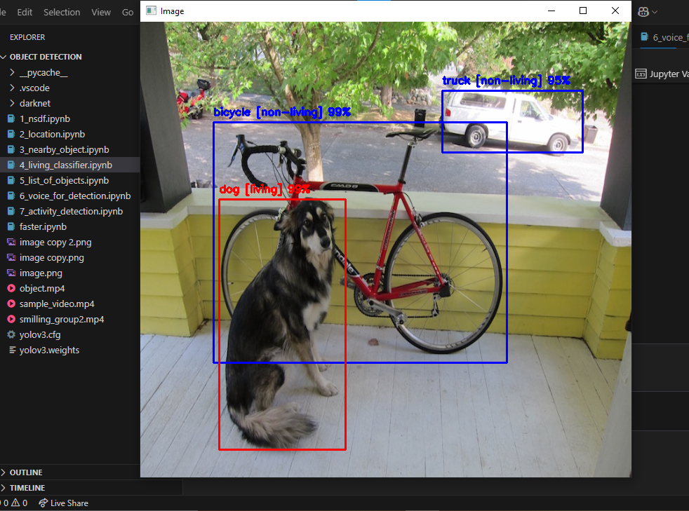 Detection in Computer-Vision