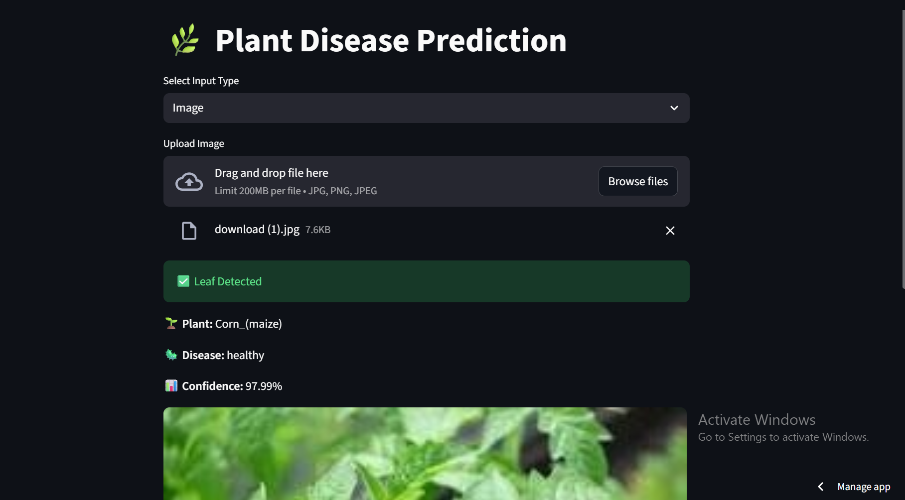 Plant Disease Detection System